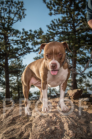 Bruskivage_2019_10_03-0074