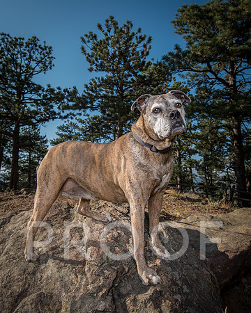 Bruskivage_2019_10_03-0016