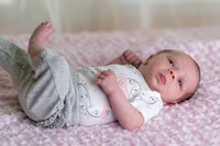 Harp_2019_05_25-0002