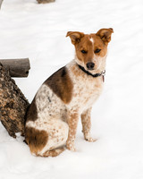 Ahlers_2016_12_03-0241