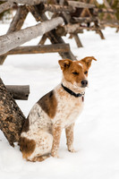 Ahlers_2016_12_03-0242
