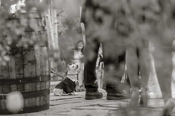 Martinez_2019_05_11-0451
