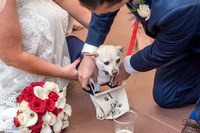 Martinez_2019_05_11-0332