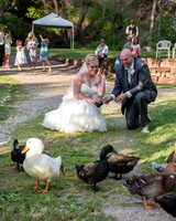Bridal Party / Family / Announcement / Creatives