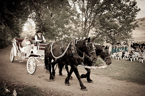 Ellis Ranch Wedding