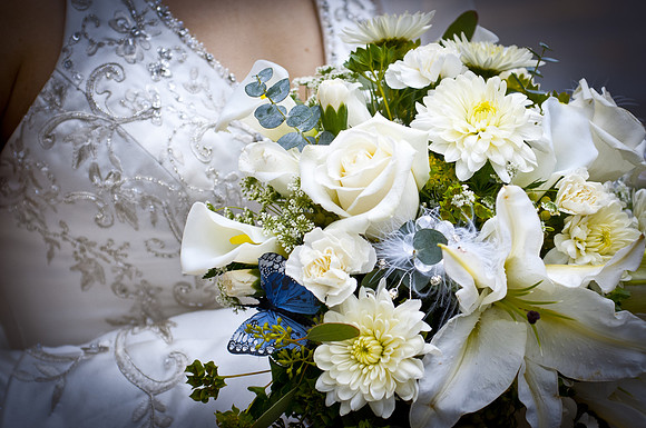 Meadow Creek Wedding